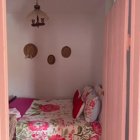 Casal Dos Carpinteiros - Carpenters Couple بيت للعطل سانتا كروز